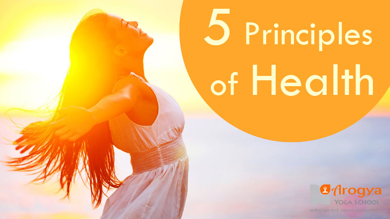 five-principles-health-main-principles-of-health-are-healthy-diet-no