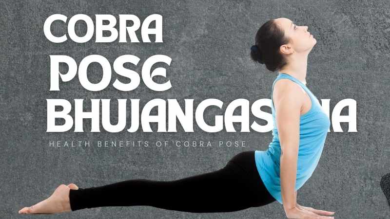 How to Do Cobra Pose: 5 Tips for Optimizing Cobra Pose - 2024 - MasterClass