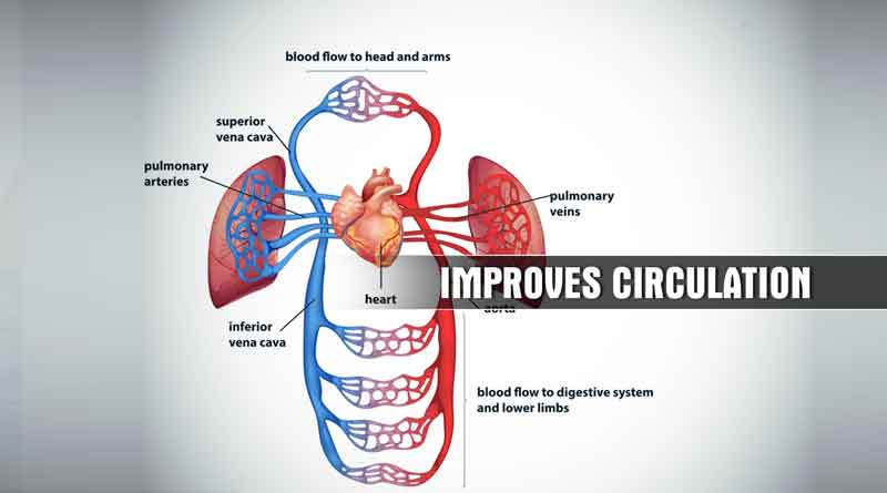 Cobra Pose benefits