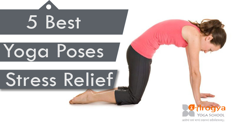 The Best 7 Yoga Poses To Strengthen Your Forearm • Yoga Basics