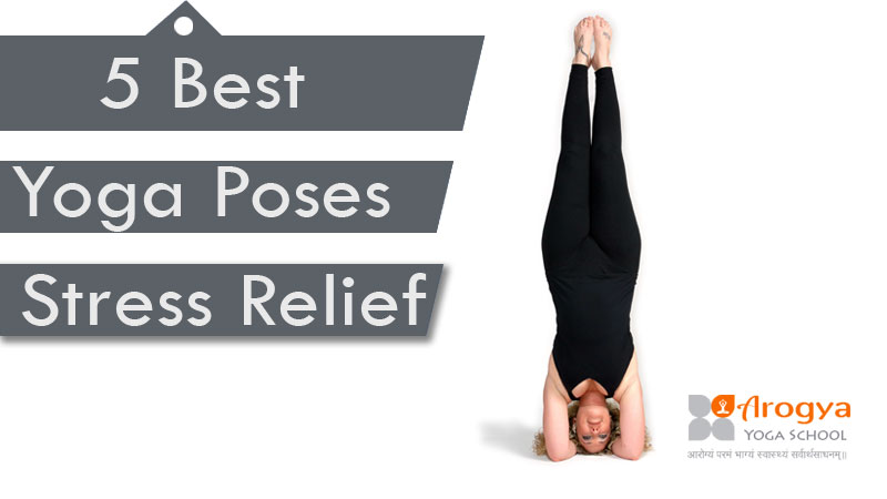 5 Simple yoga stretches to help you sleep better - Himalayan Yoga  Association (Yoga Ashram)