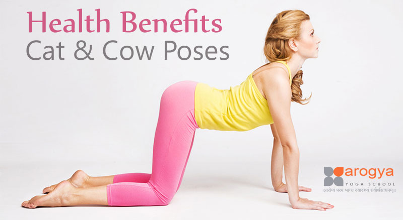 Health Benefits of Cat-Cow Poses - perform Cat cow face pose benefits