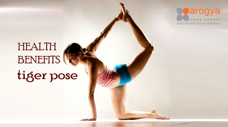 Gate Pose | Poses, Yoga poses, Body poses