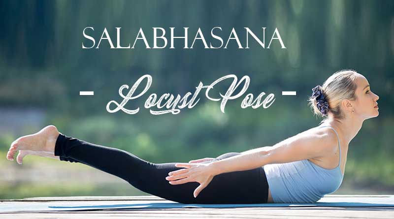 Locust Pose-Salabhasana: A Beginner's Guide 3 | Cool yoga poses, Best yoga, Yoga  poses