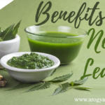 Benefits of Neem Leaves