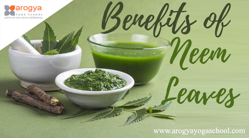 Benefits of Neem Leaves