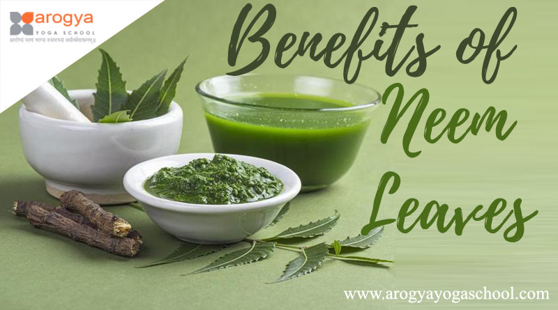 neem benefits