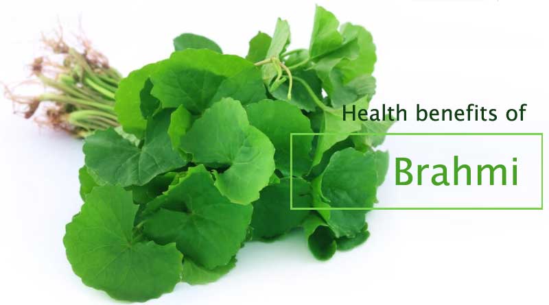 health benefits of Brahmi