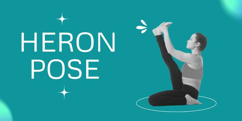 Krounchasana (Heron Pose): Basics, Steps, Benefits & More - 7pranayama.com  | Learn yoga poses, Yoga benefits, Workout
