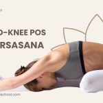 janu sirsasana Head-to-Knee Pose Benefits