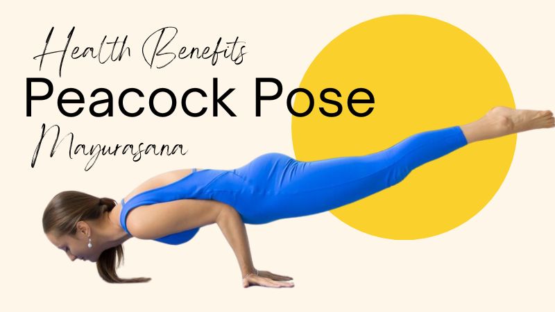 Health Benefits of Mayurasana - Peacock Pose