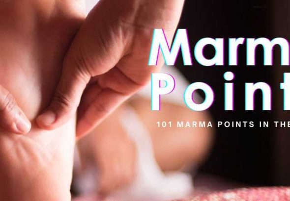 Marma points