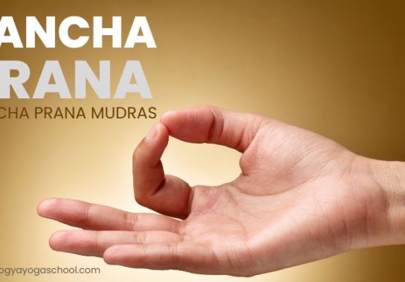 Pancha prana mudras