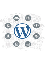 Wordpress Custom Themes Development and Customization