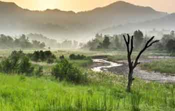 Raja Ji National Park